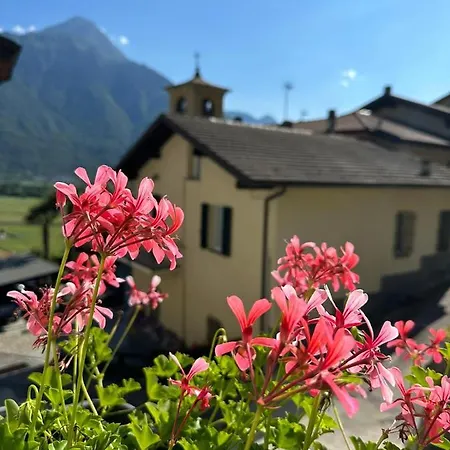 Sotto Al Bosco E Azienda Agricola Couette-café