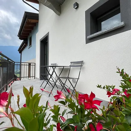 Bed & Breakfast Sotto Al Bosco E Azienda Agricola *