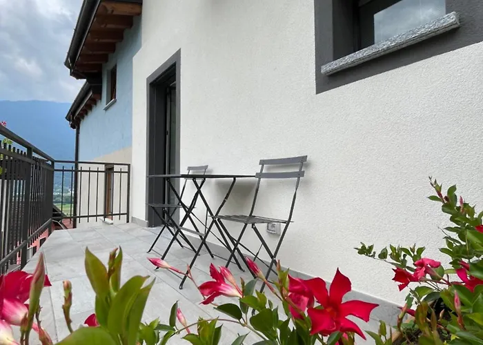 Bed & Breakfast Sotto Al Bosco E Azienda Agricola *